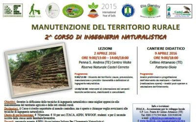 2′ CORSO DI INGEGNERIA NATURALISTICA