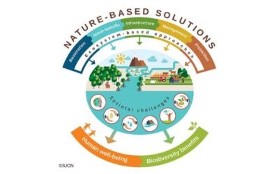 Seminario “Cambiamento climatico e Nature Based Solutions”
