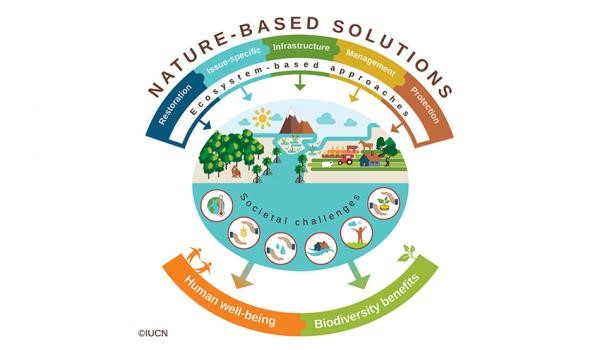 Seminario “Cambiamento climatico e Nature Based Solutions”