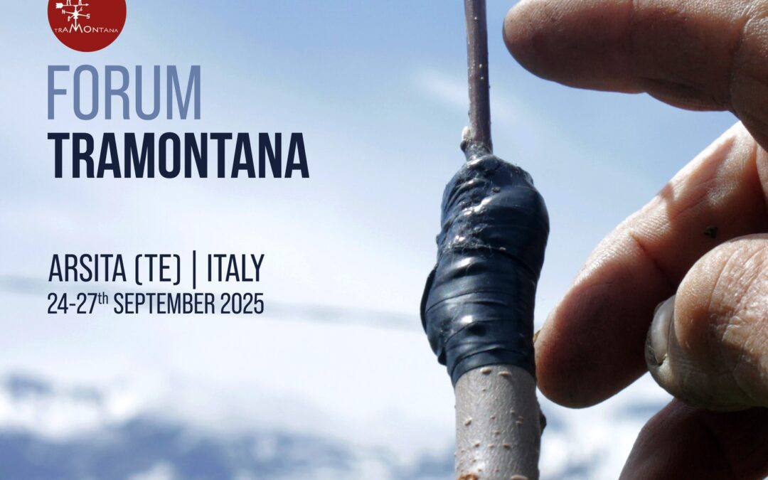 Revive al II° Forum Tramontana