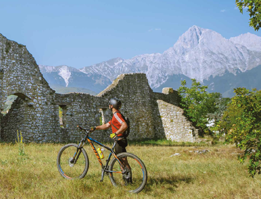 Avviso per la fornitura di  biciclette elettriche a pedalata assistita